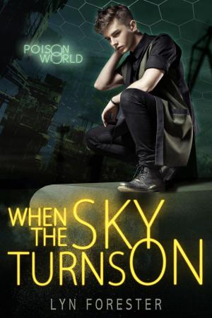 Cover of the book When the Sky Turns On by Romain Combes