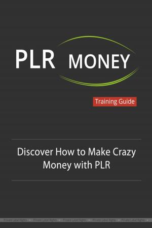 Book cover of PLR Money Made Easy