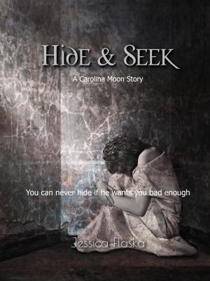 Book cover of Hide & Seek
