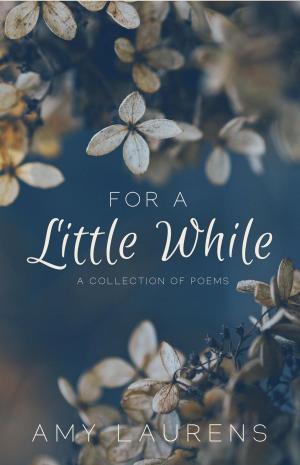 Cover of the book For A Little While by Amy Laurens