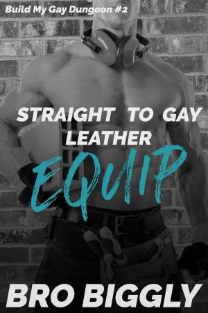 Cover of the book Equip: Straight to Gay Leather by Karen Erickson