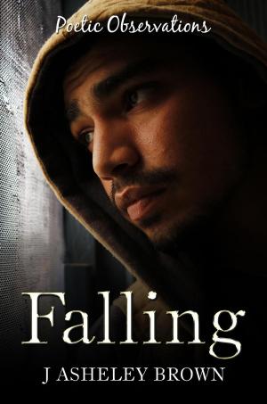 Cover of the book Falling by Joe Troiano