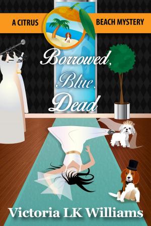 Cover of the book Borrowed, Blue, Dead by Heather Sunseri