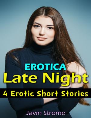 Book cover of Erotica: Late Night: 4 Erotic Short Stories