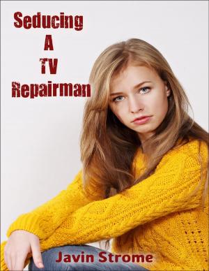 Cover of the book Seducing a Tv Repairman by Joshua Holmes