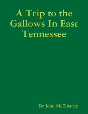 Cover of the book A Trip to the Gallows In East Tennessee by Quycinda Leress