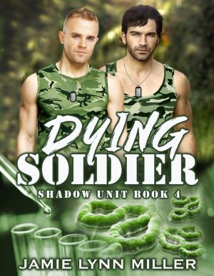 Cover of the book Dying Soldier - Shadow Unit Book 4 by Jonathan Starion