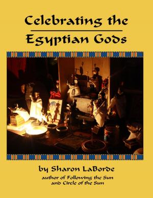Cover of the book Celebrating the Egyptian Gods by Jeff Brown