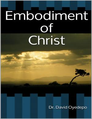 Cover of the book Embodiment of Christ by Chika-Sunday Felix