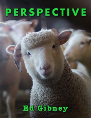 Cover of the book Perspective by Matthew Wallischeck