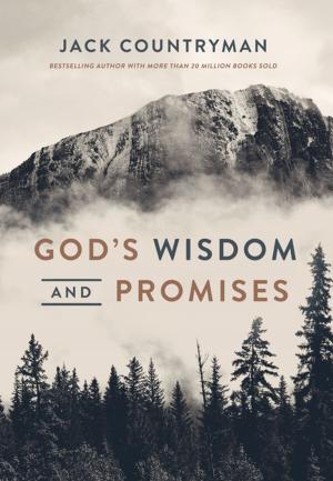 Cover of the book God's Wisdom and Promises by Max Lucado