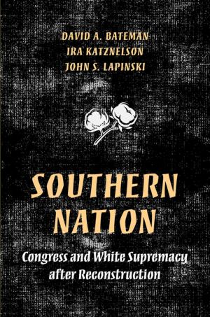 Cover of the book Southern Nation by David P. Billington, Jr., David Billington Jr.