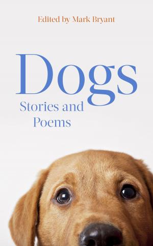 bigCover of the book Dogs by 
