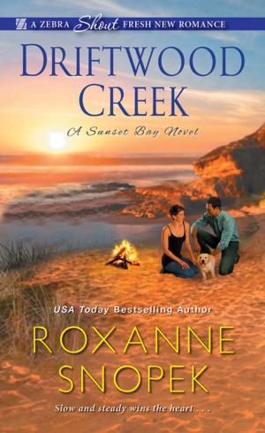 Cover of the book Driftwood Creek by Tamara Merrill