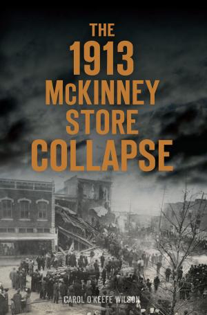 Book cover of The 1913 McKinney Store Collapse