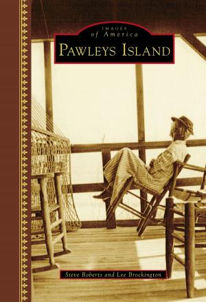 Cover of the book Pawleys Island by Brian Stuart Kesterson