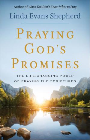 Cover of the book Praying God's Promises by Connilyn Cossette
