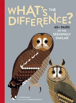 Cover of the book What's the Difference? by Steve Light