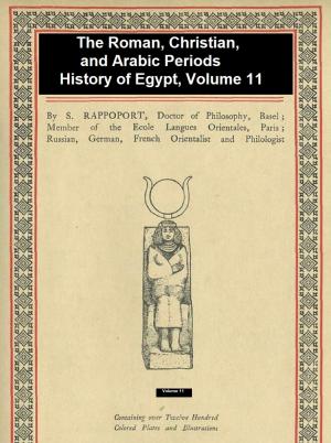 Book cover of The Roman, Christian, and Arabic Periods, History of Egypt Vol. 11