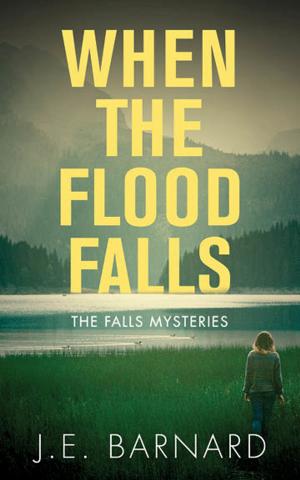Cover of the book When the Flood Falls by Rona Arato