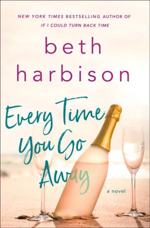 Cover of the book Every Time You Go Away by Ellen Hart