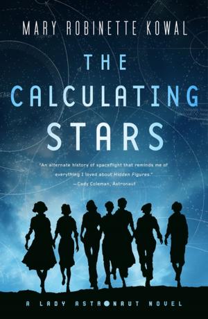 Cover of the book The Calculating Stars by Brian Stableford