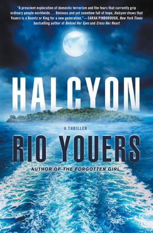 Cover of the book Halcyon by David Bruns, J. R. Olson