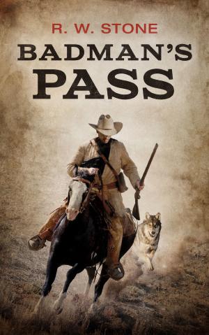 Cover of the book Badman's Pass by Pete Hackett, Larry Lash