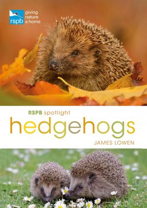 Book cover of RSPB Spotlight Hedgehogs