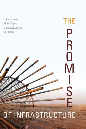 Cover of the book The Promise of Infrastructure by Jane Lazarre