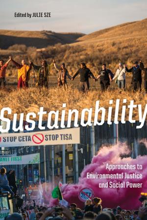 Cover of the book Sustainability by Benjamin Schreier
