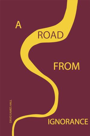Cover of the book A Road from Ignorance by Elliam Moses Mulenga