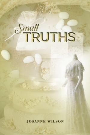 Cover of the book Small Truths by Anthropologist Gregory Days