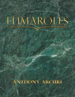 Cover of the book Fumaroles by Paul Taylor