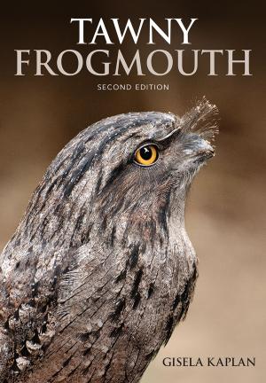 Book cover of Tawny Frogmouth