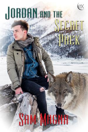 Book cover of Jordan and the Secret Pack