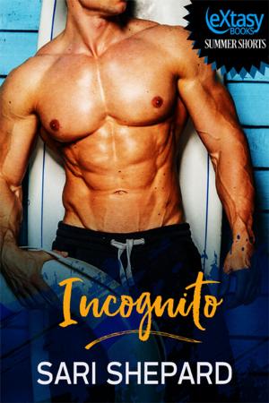 Cover of the book Incognito by Sally Odgers