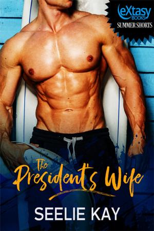 bigCover of the book The President's Wife by 