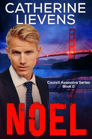 bigCover of the book Noel by 