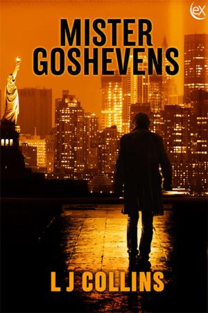 bigCover of the book Mister Goshevens by 