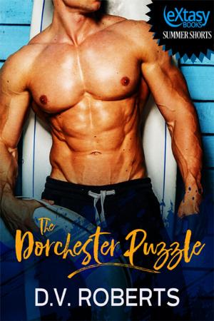 Book cover of The Dorchester Puzzle