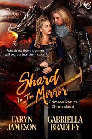 Cover of the book Shard in the Mirror by SA Welsh