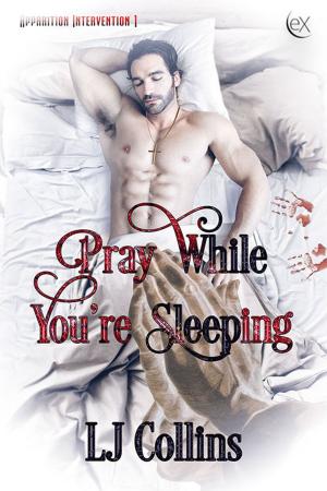 Cover of the book Pray While You're Sleeping by Lacey St. Claire