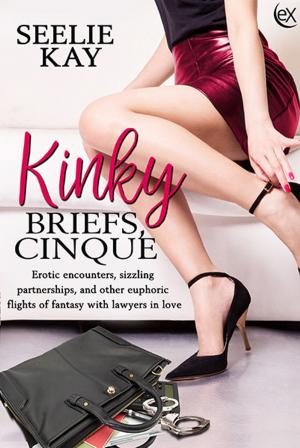 Book cover of Kinky Briefs, Cinque