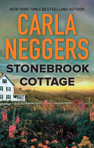 Cover of the book Stonebrook Cottage by Meghann Foye