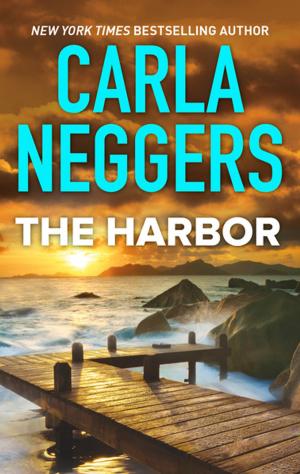 bigCover of the book The Harbor by 
