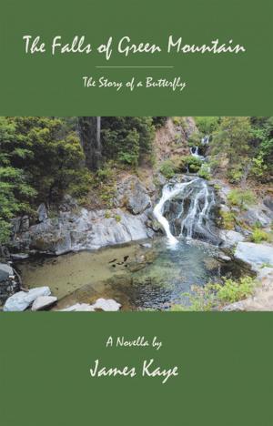 Book cover of The Falls of Green Mountain