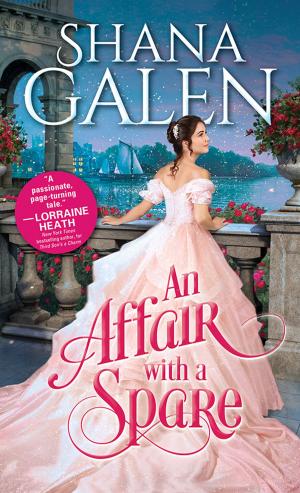 Cover of the book An Affair with a Spare by Elizabeth Hilts