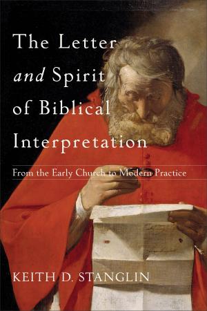 Cover of the book The Letter and Spirit of Biblical Interpretation by MEd, LPC, Nancy Williams