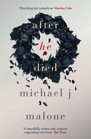 Cover of the book After He Died by Britney King